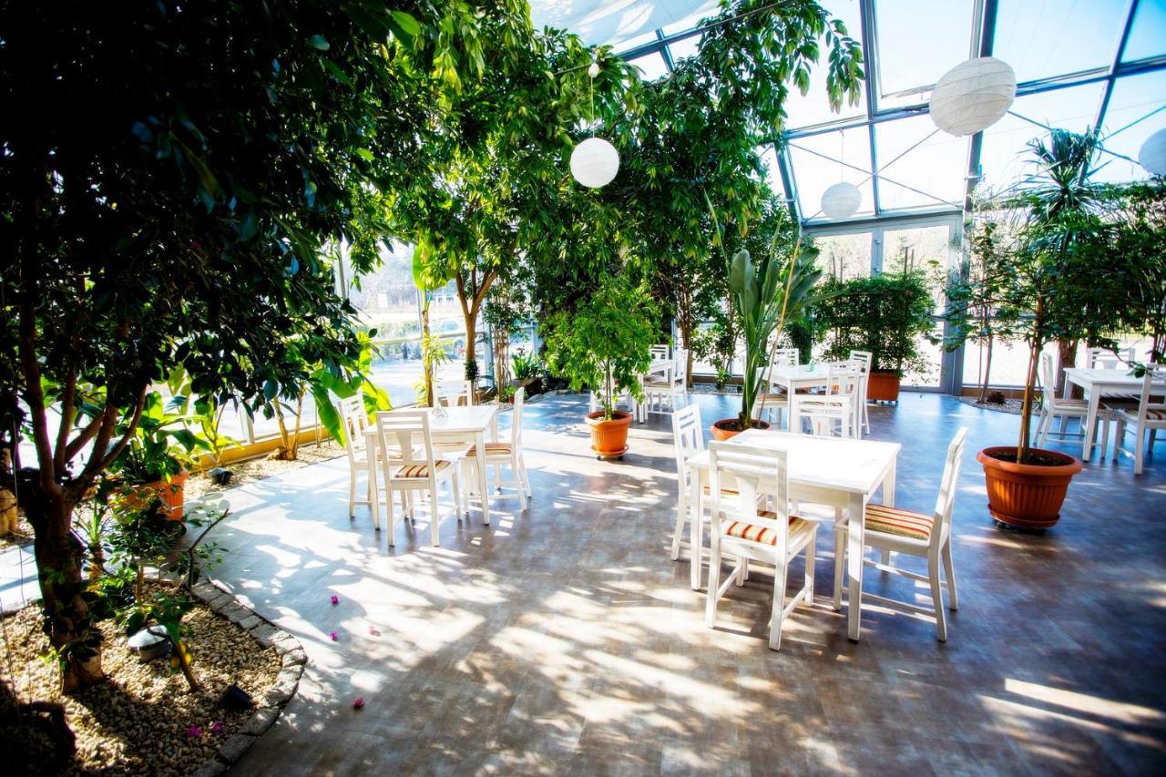 Hotel Luka Радом Екстериор снимка